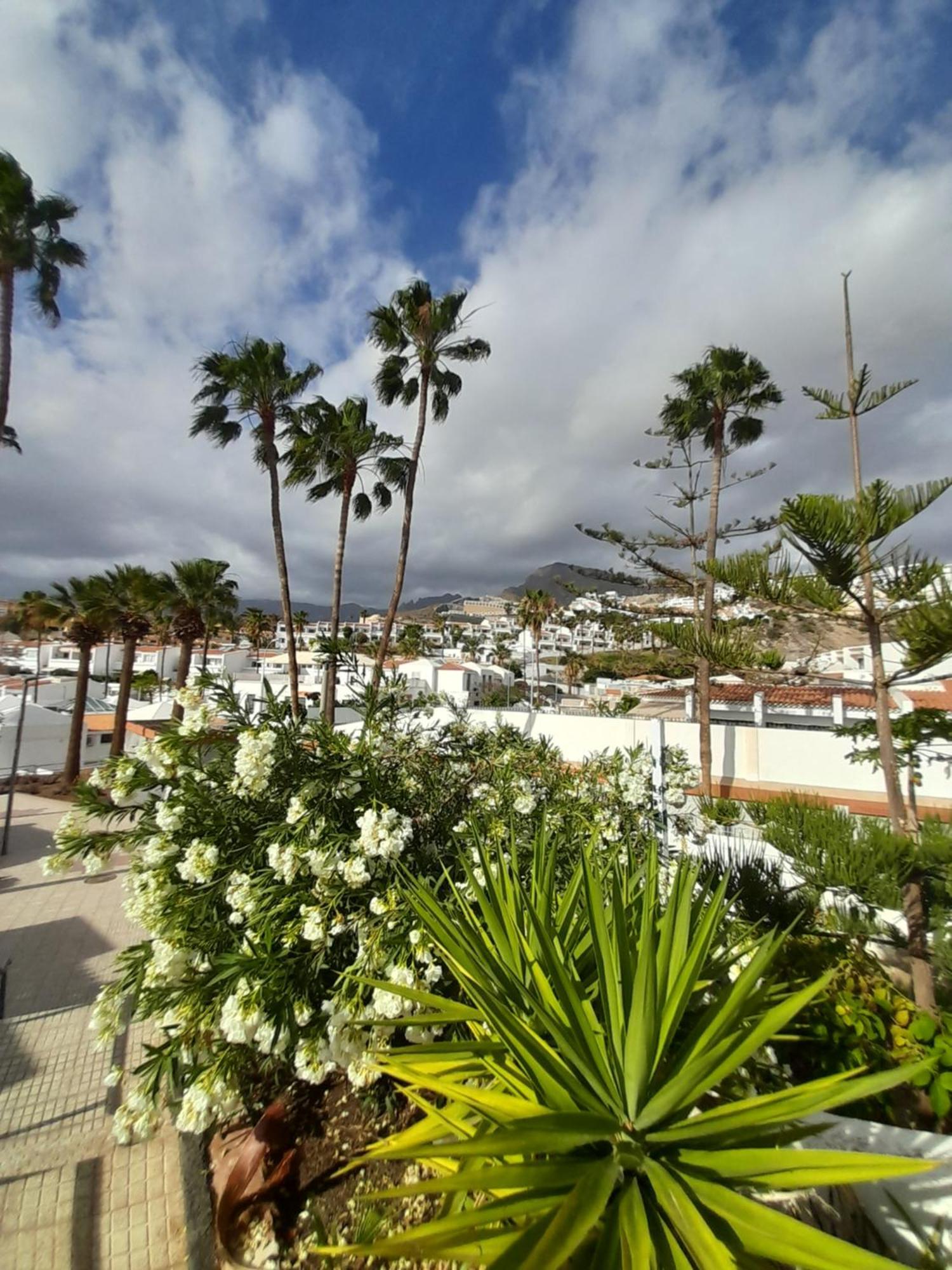 Apartments Island Village Heights Costa Adeje  ภายนอก รูปภาพ